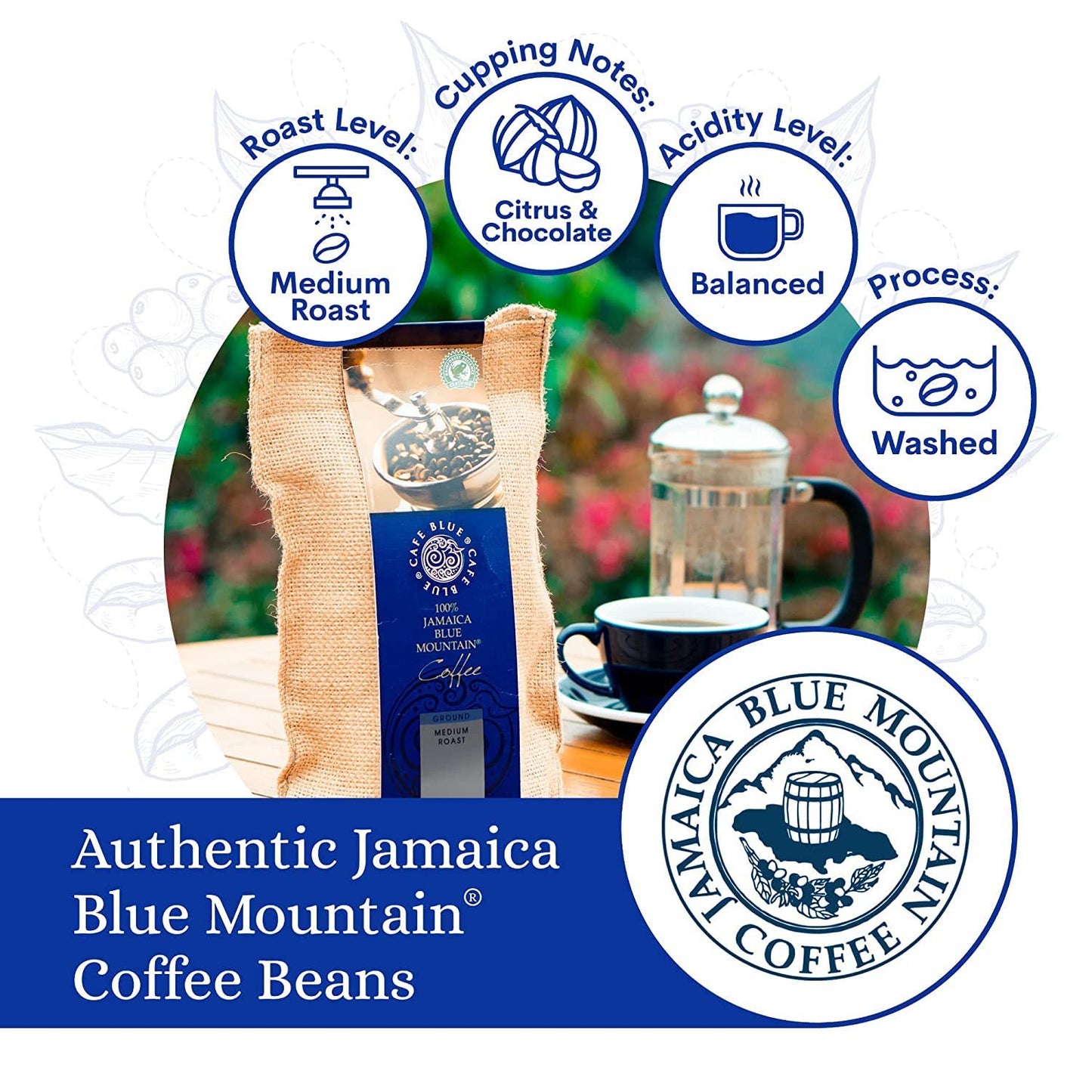Cafe Blue – 100% Authentic Jamaica Blue Mountain Coffee from Clifton Mount Estate, Medium Roast Whole Bean Coffee, Premium Arabica Coffee Beans, Coffee Bag of 16 Ounces (1 Pound, 454 Grams) Cafe Blue Cafe Blue