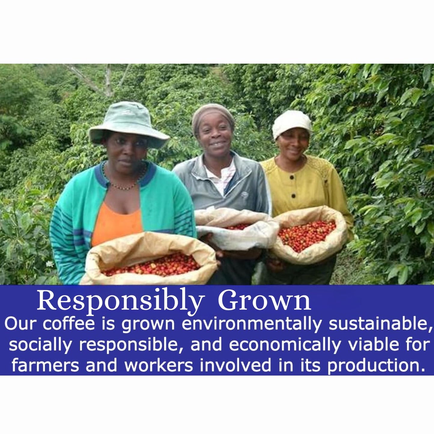 Cafe Blue – 100% Authentic Jamaica Blue Mountain Coffee from Clifton Mount Estate, Medium Roast Whole Bean Coffee, Premium Arabica Coffee Beans, Coffee Bag of 16 Ounces (1 Pound, 454 Grams) Cafe Blue Cafe Blue