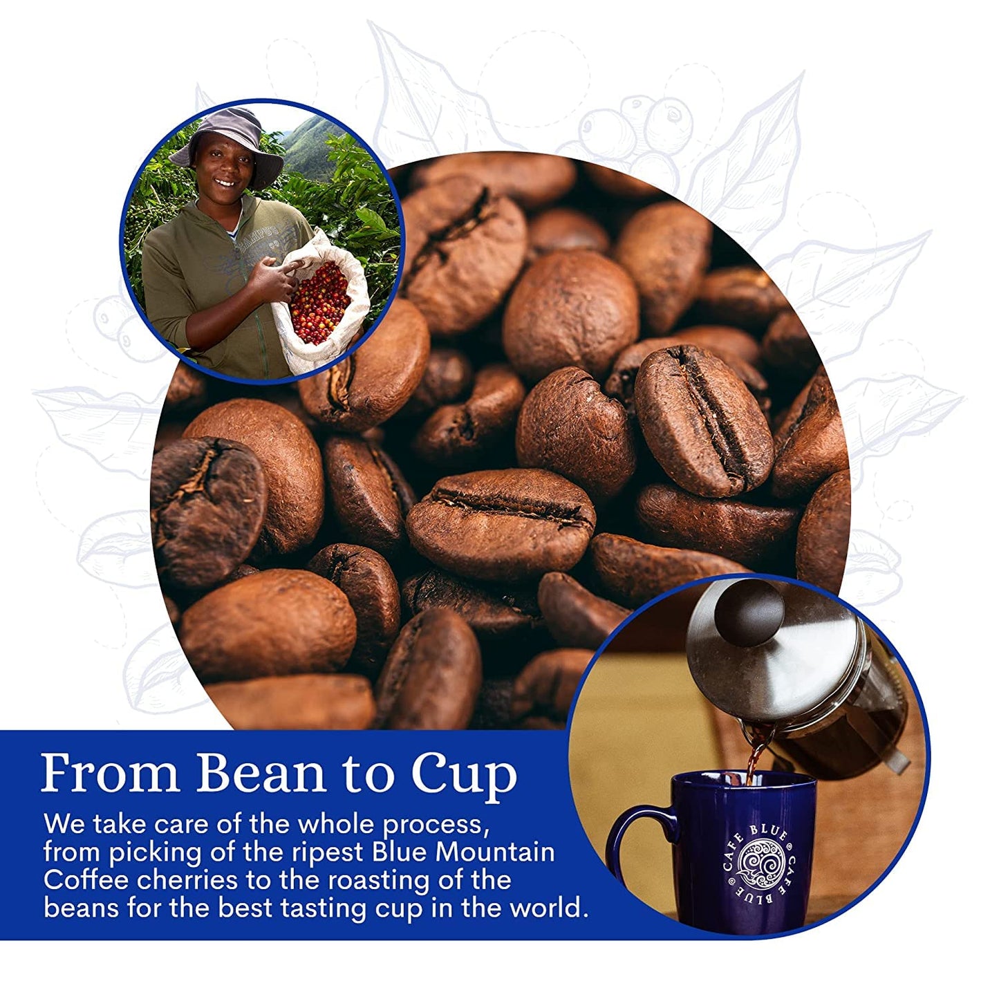 Cafe Blue – 100% Authentic Jamaica Blue Mountain Coffee from Clifton Mount Estate, Medium Roast Whole Bean Coffee, Premium Arabica Coffee Beans, Coffee Bag of 16 Ounces (1 Pound, 454 Grams) Cafe Blue Cafe Blue
