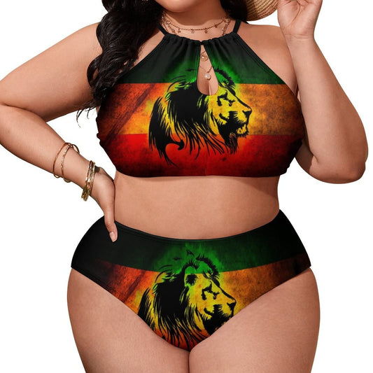 GJdd_diy Dry Jamaican Lion Flag Women Plus Size High Waisted Bikini 2 Piece Sexy Bathing Suits-X-Large GJdd_diy